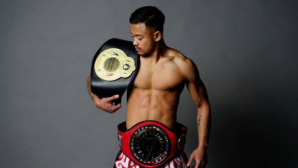 Level 3 - Professional Package